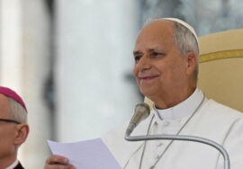 papa leone xiv durante catechesi