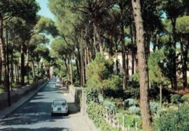 pineta di ischia negli anni 70